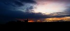 alba alba