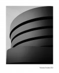 Guggenheim 2010
