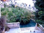 Fontana Aretusa Siracusa Fontana Aretusa Siracusa