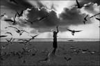 The man who talked with birds The man who talked with birds