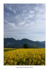 Colori della natura Colori della natura