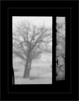 Trespass Trespass