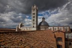 sui tetti di Siena