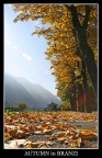 Autumn in Branzi