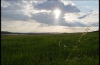 la collina la collina