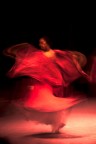 Flamenco Flamenco