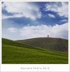 ..forse comincia la primavera...