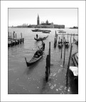 Venice Venice