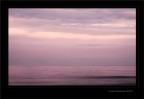 Velvet dream... Velvet dream...