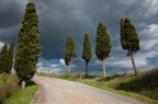 cipressi.... cipressi....