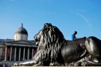 The boy and the lion The boy and the lion