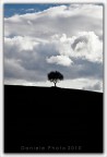 ..solitario... ..solitario...