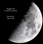 Canon 40D 
Bushnell 800mm x 70mm modificato per attacco EF
iso 400
160

Diciamo che non so su quale sezione metterla .. 
ed � la mia prima foto fatta su questo sistema che ho letteralmente autocostruito a livello di adattatore

Come sempre critiche e commenti sono ben accetti ..