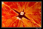 R01 R01