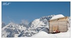 Come lucertole al sole! Come lucertole al sole!