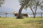 _Allungata___ al sole!! _Allungata___ al sole!!