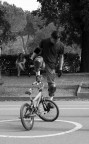 Bmx Bmx