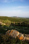 Paesaggio laziale Paesaggio laziale