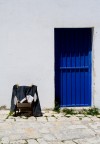 Salento Salento