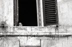 Cucù! Cucù!