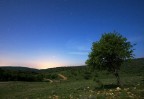 Notte Solitaria Notte Solitaria