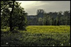 PhotoPittura PhotoPittura