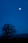Blue moon Blue moon