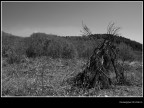 Desolazione Desolazione