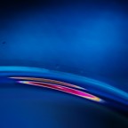 Focale: 300mm
Tempo: 1/320
Diaframma: 5.6
Software: PS curve-inversione-saturazione