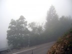 53 NEBBIA.... 53 NEBBIA....