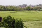 Cerchi nel grano a Bagnolo Mella Cerchi nel grano a Bagnolo Mella