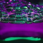 Canon EOS 400D
1/400
f/5.6
55mm
iso 1600