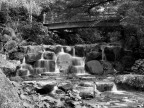 Miyajima Miyajima