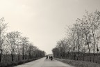 Formazione motociclistica Formazione motociclistica
