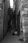 Sirmione di vecchio stampo Sirmione di vecchio stampo
