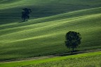 Campagna marchigiana Campagna marchigiana