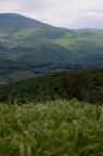 Paesaggio Carraia Paesaggio Carraia