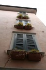 Finestrata dal basso... Finestrata dal basso...