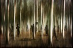 La solitudine dei numeri primi La solitudine dei numeri primi