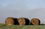 La nebbia si alza.. La nebbia si alza..