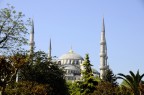 moschea blu moschea blu