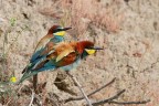 Una spolverata Una spolverata