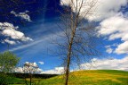 Altopiano di asiago.....Puzzle di primavera.... Altopiano di asiago.....Puzzle di primavera....