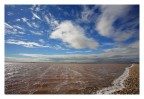 camargue le saline camargue le saline