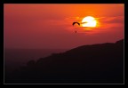 Parapendio Parapendio