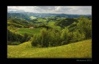 Living in the Green Living in the Green