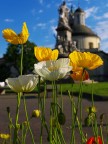 colors colors