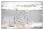 riflessi d'inverno riflessi d'inverno