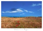 Domenia di Maggio Domenia di Maggio