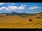 campagna d'estate campagna d'estate